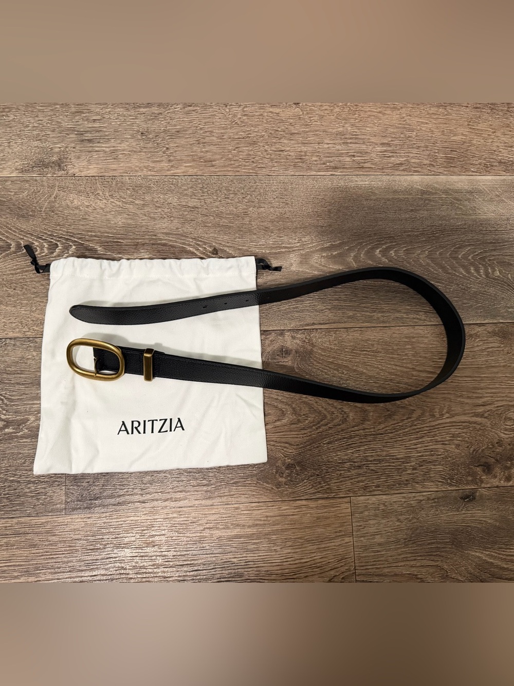 Aritzia Lifetime Solid Brass Leather Wide Belt